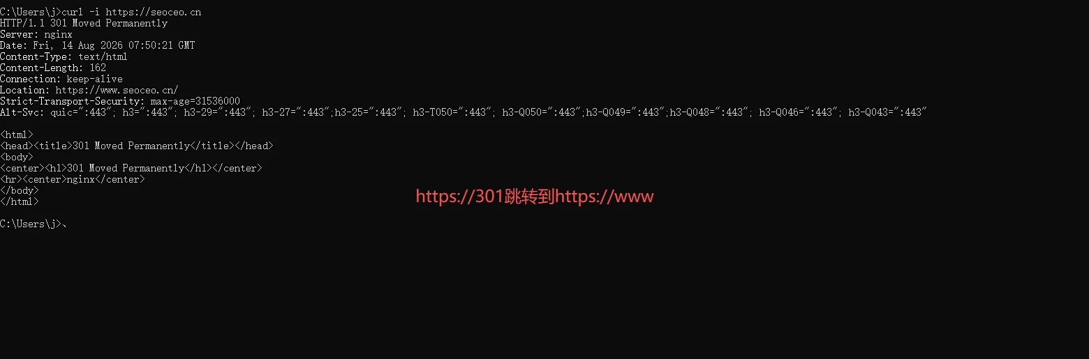 问题截图：主页未统一 301 重定向 - 问题截图 1