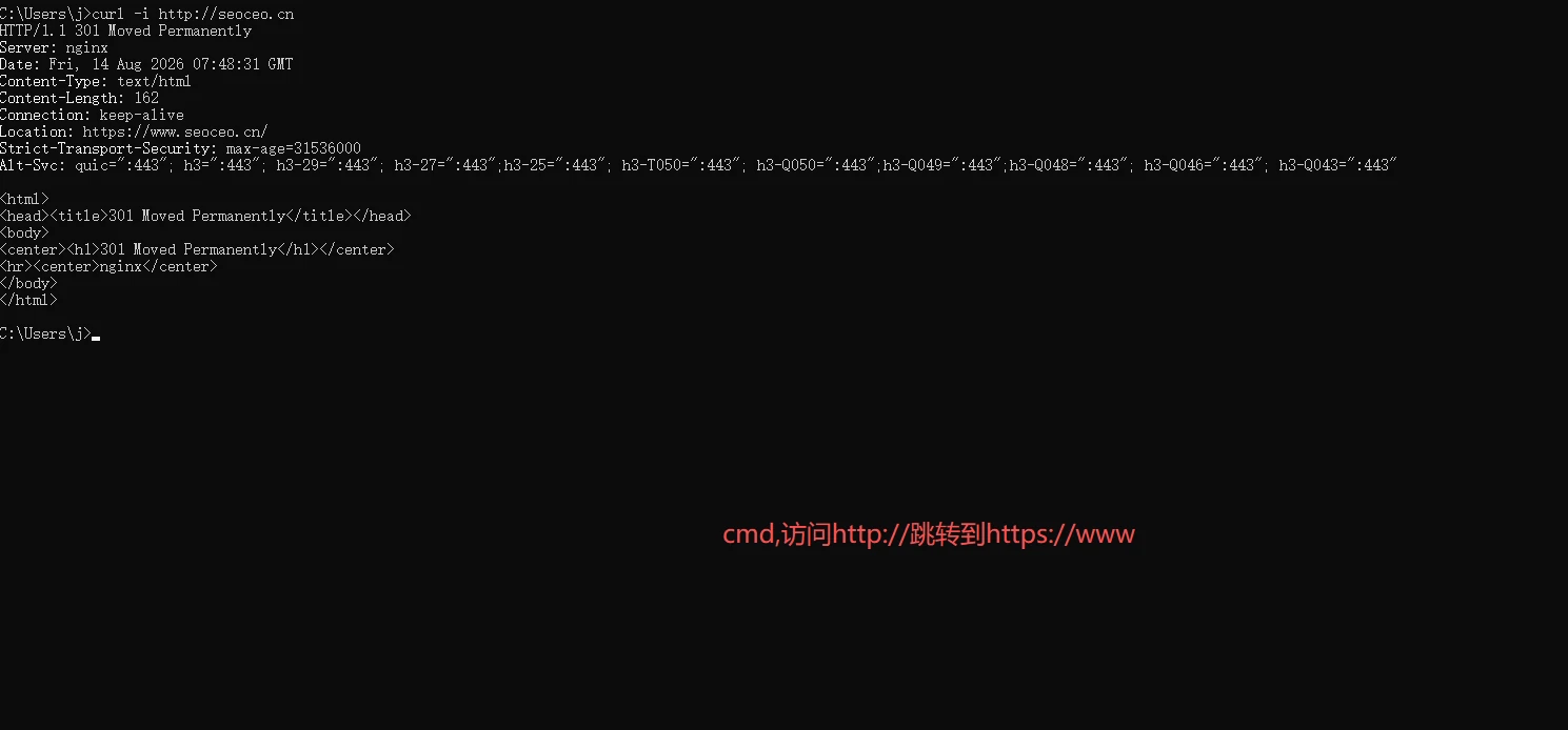 问题截图：主页未统一 301 重定向 - 问题截图 4