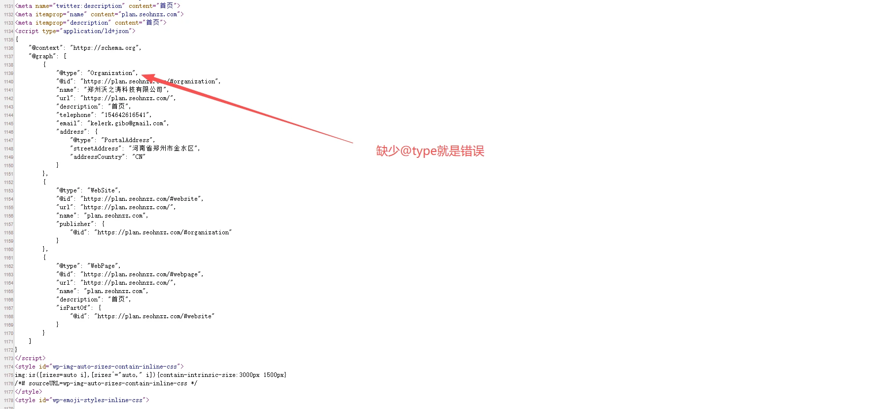 问题截图：结构化数据项目无效 - 问题截图 1