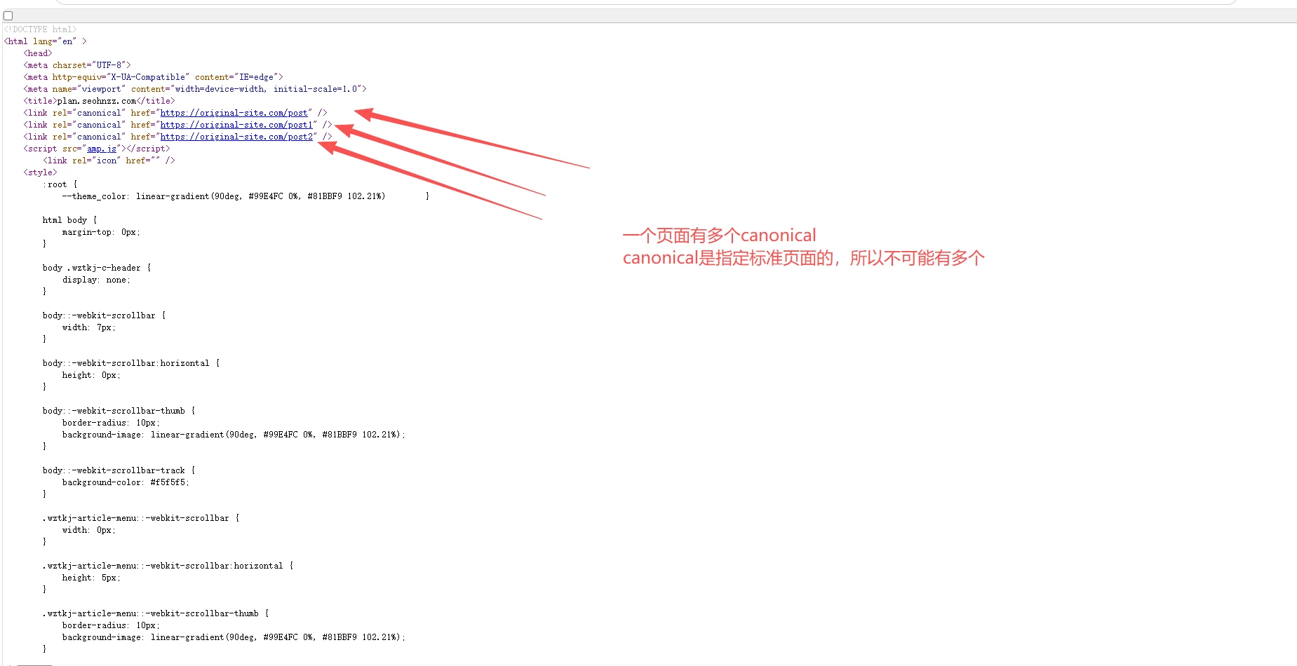 问题截图：多个标准化 URL - 问题截图 2